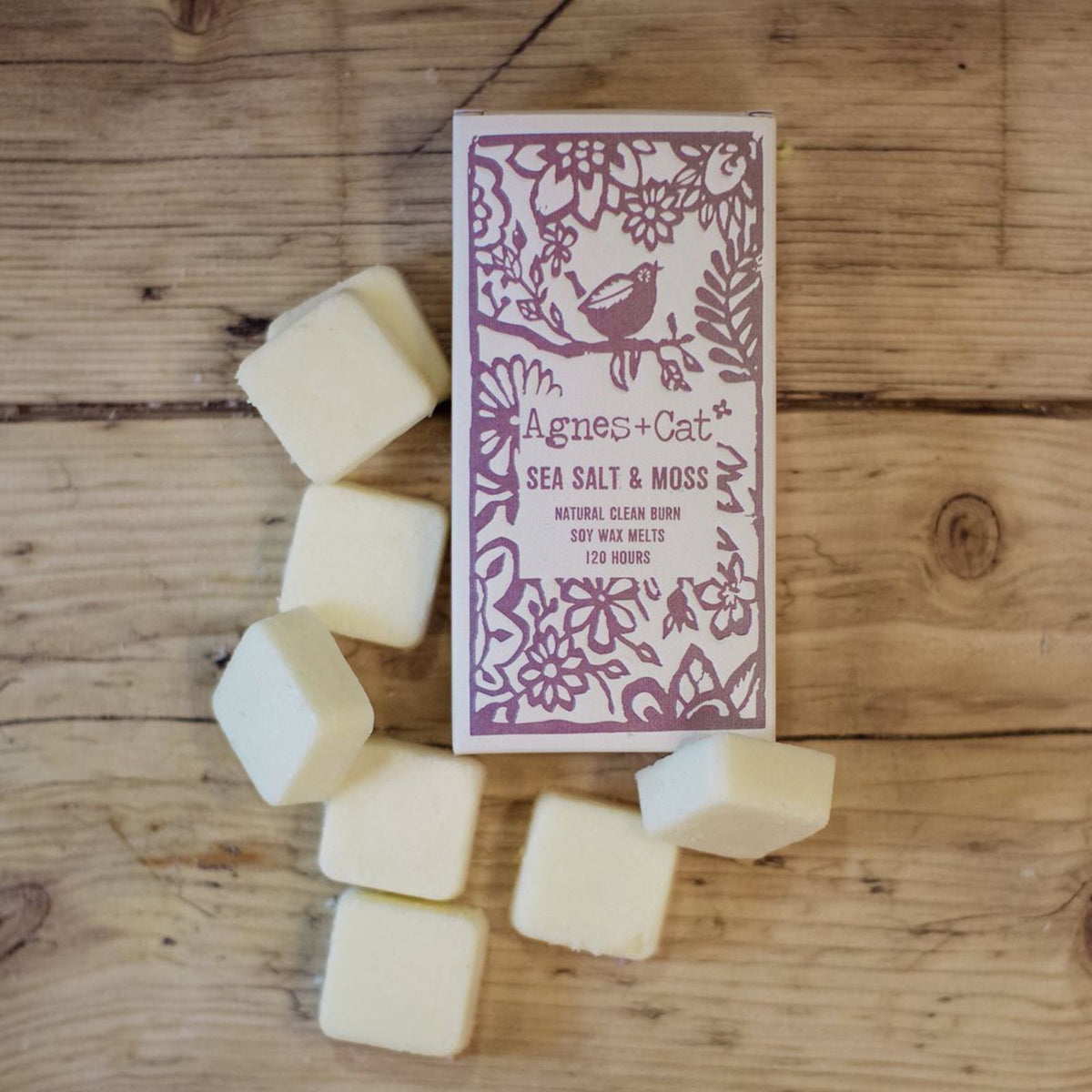 Agnes + Cat soy wax melts – seasalt and moss coastal fresh scent