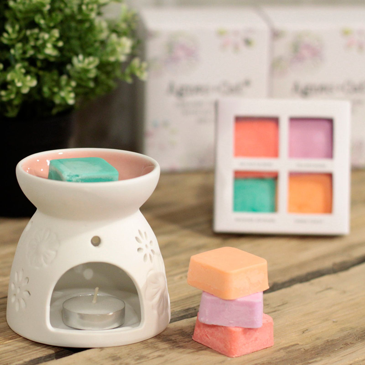 Agnes + Cat Wax Melter with Four Soy Wax Melts – Floral Ceramic Burner | CardsAmoreStore