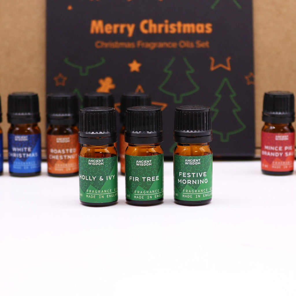 Christmas Fragrance Oil Gift Set - Festive Delights (5ml × 12) | CardsAmoreStore