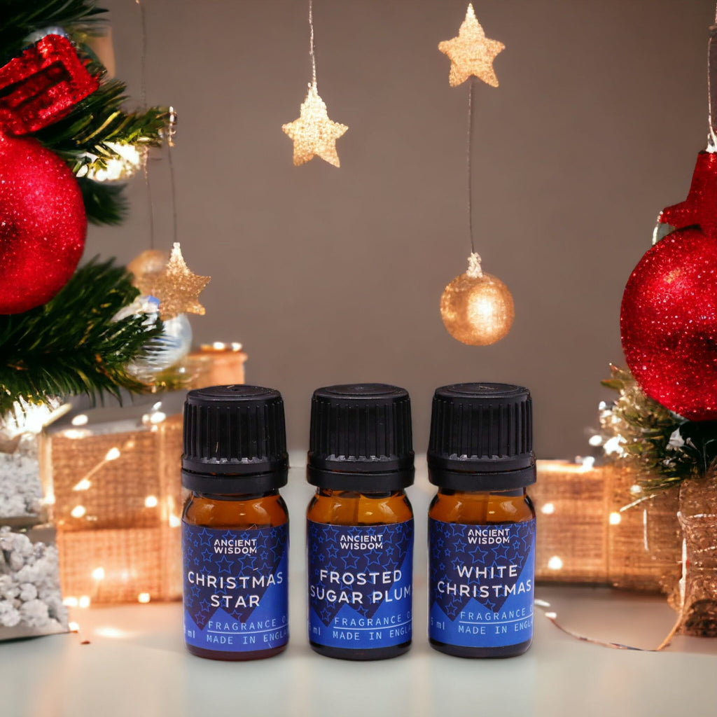 Christmas Fragrance Oil Gift Set - Festive Delights (5ml × 12) | CardsAmoreStore