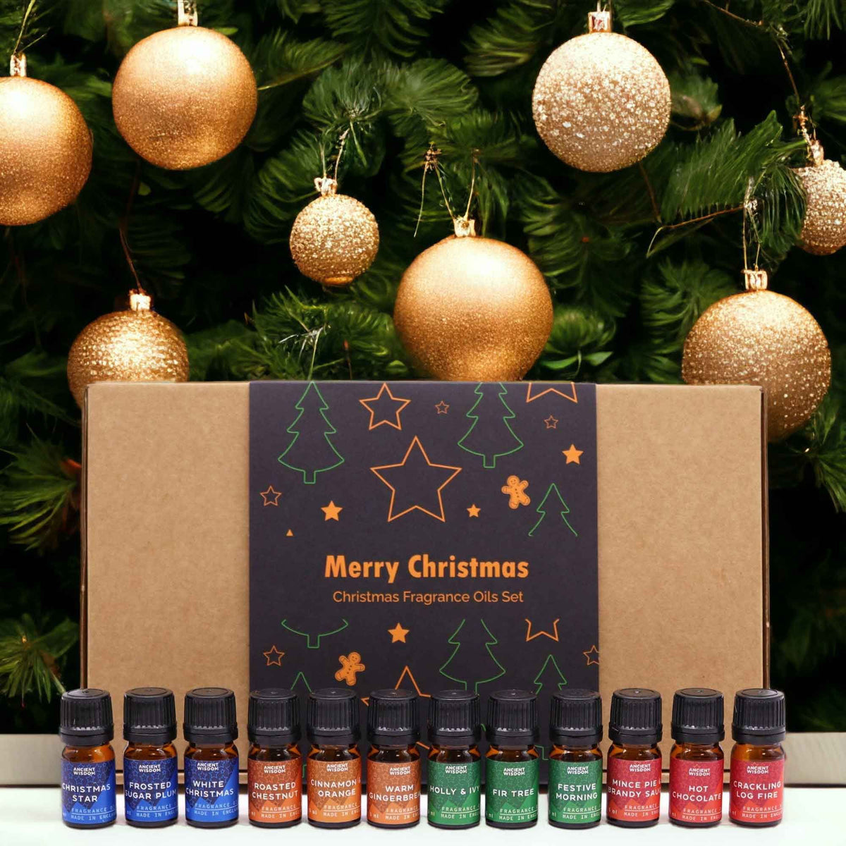 Christmas Fragrance Oil Gift Set - Festive Delights (5ml × 12) | CardsAmoreStore