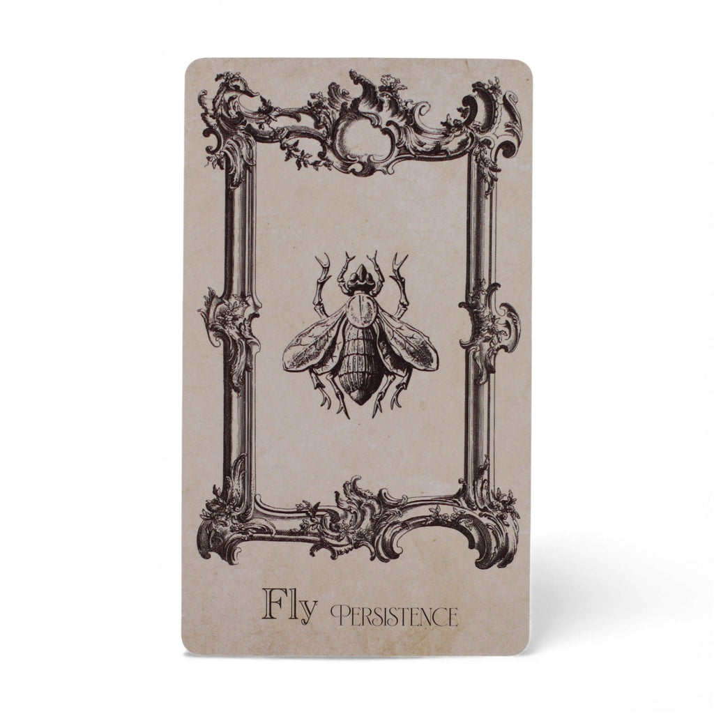 The Spellbook Oracle Cards- Witchcraft Deck | CardsAmoreStore