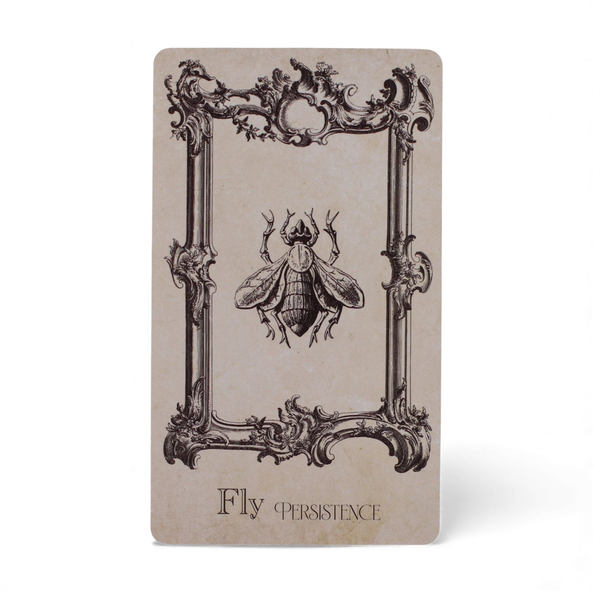 The Spellbook Oracle Cards- Witchcraft Deck | CardsAmoreStore