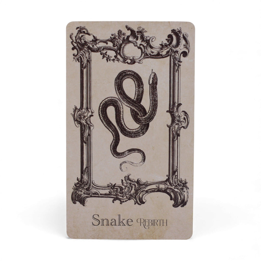 The Spellbook Oracle Cards- Witchcraft Deck | CardsAmoreStore