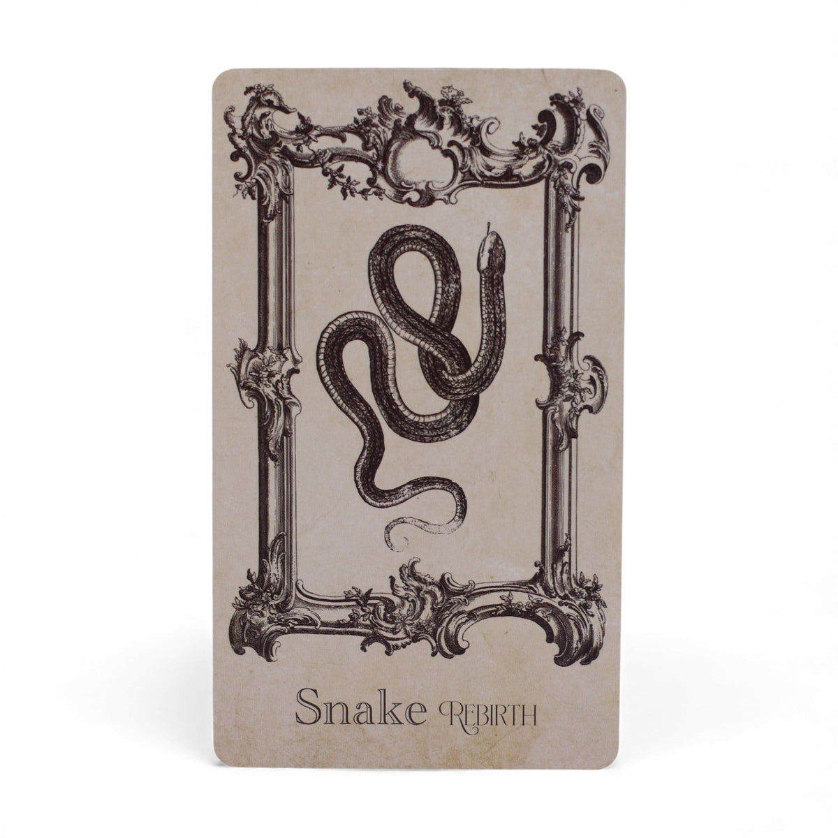 The Spellbook Oracle Cards- Witchcraft Deck | CardsAmoreStore