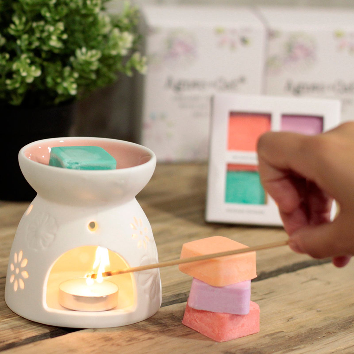 Agnes + Cat Wax Melter with Four Soy Wax Melts – Floral Ceramic Burner | CardsAmoreStore