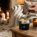 Hop Hare Diffusing Crystals & Floral Set – The Sun (Citrine) | CardsAmoreStore